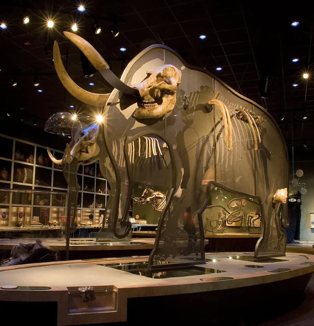 Western Science Center